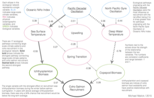 Ecological network effects on salmon