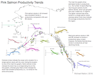 Declining salmon productivity trends