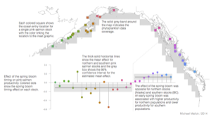 Phytoplankton phenology impacts salmon